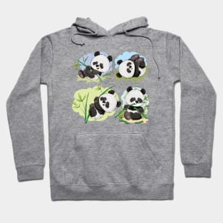 Panda Collection Hoodie